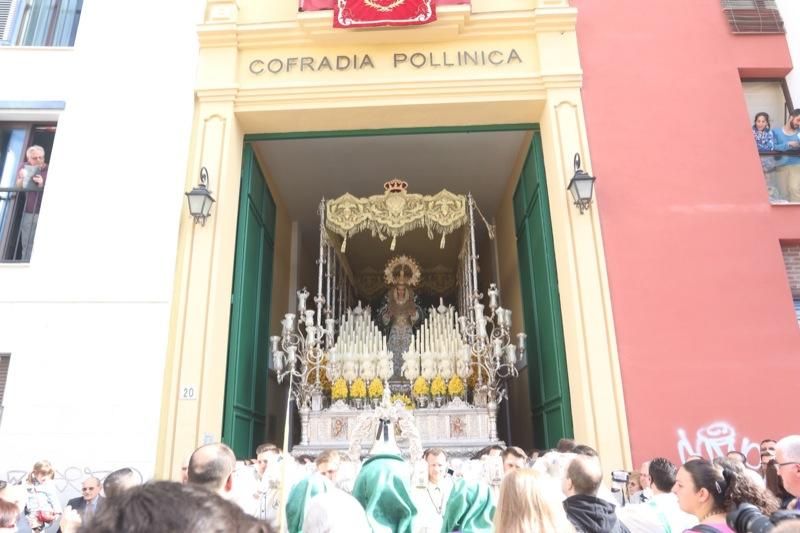 Domingo de Ramos de 2016 | Pollinica