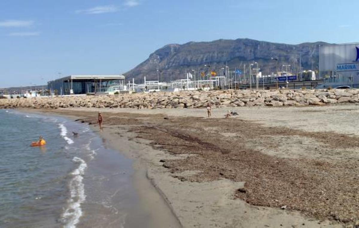 El tramo de la escollera norte del puerto que se eligió como playa para perros.