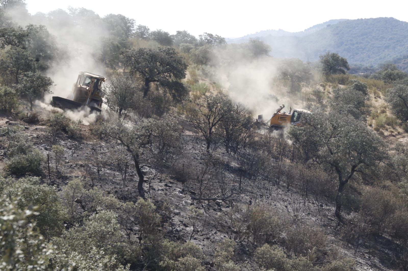 Estabilizado el incendio de Villaharta tras una madrugada de intenso trabajo