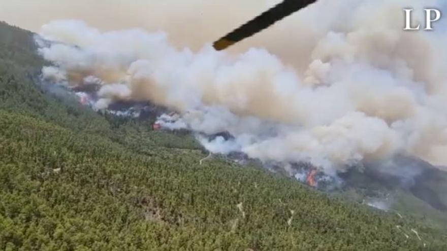 Evolución del incendio de Los Realejos, visto desde un helicóptero del INFOCA
