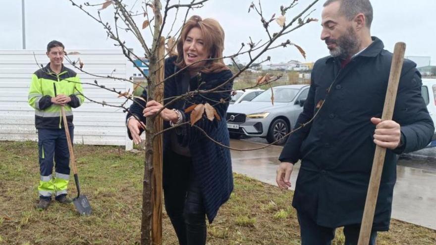 La hermana de Feijóo planta veinte árboles en el polígono de Bobes