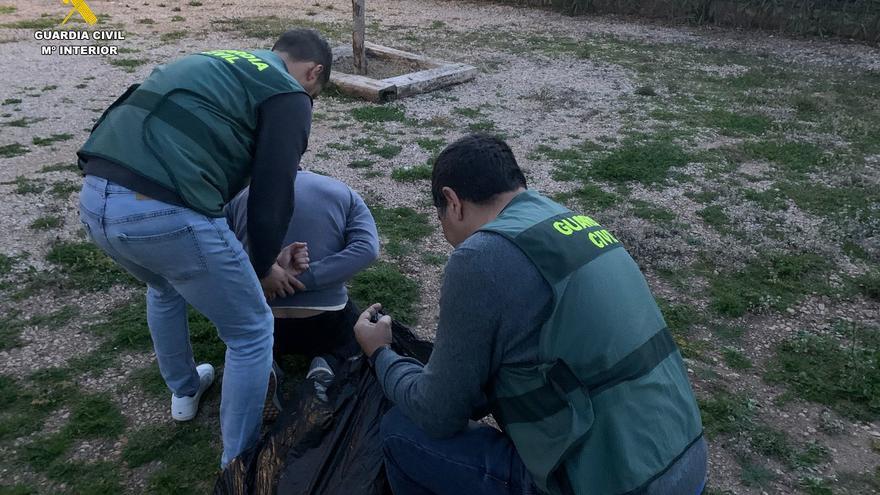 La Guardia Civil detiene al responsable del cultivo de 350 plantas de marihuana en un piso de Silla