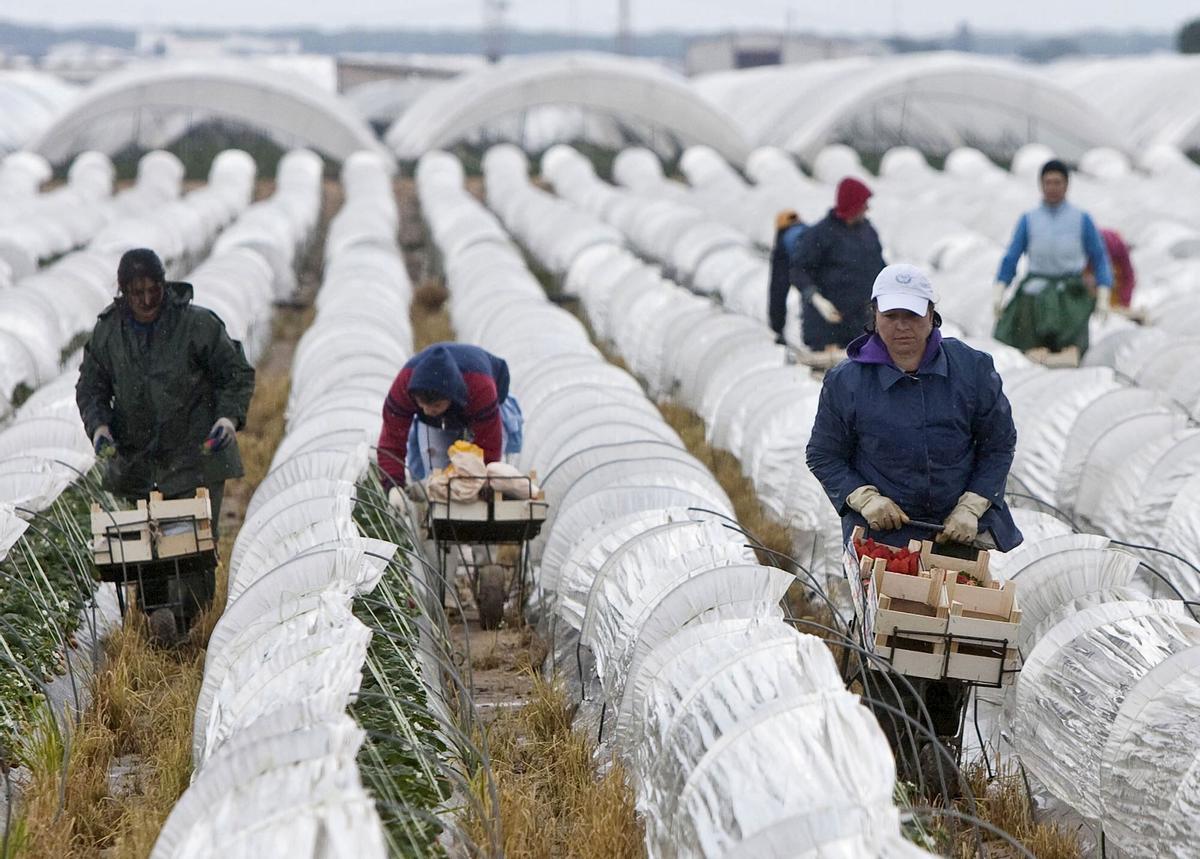 Trabajadoras recogiendo fresas en Palos de la Frontera (Huelva).