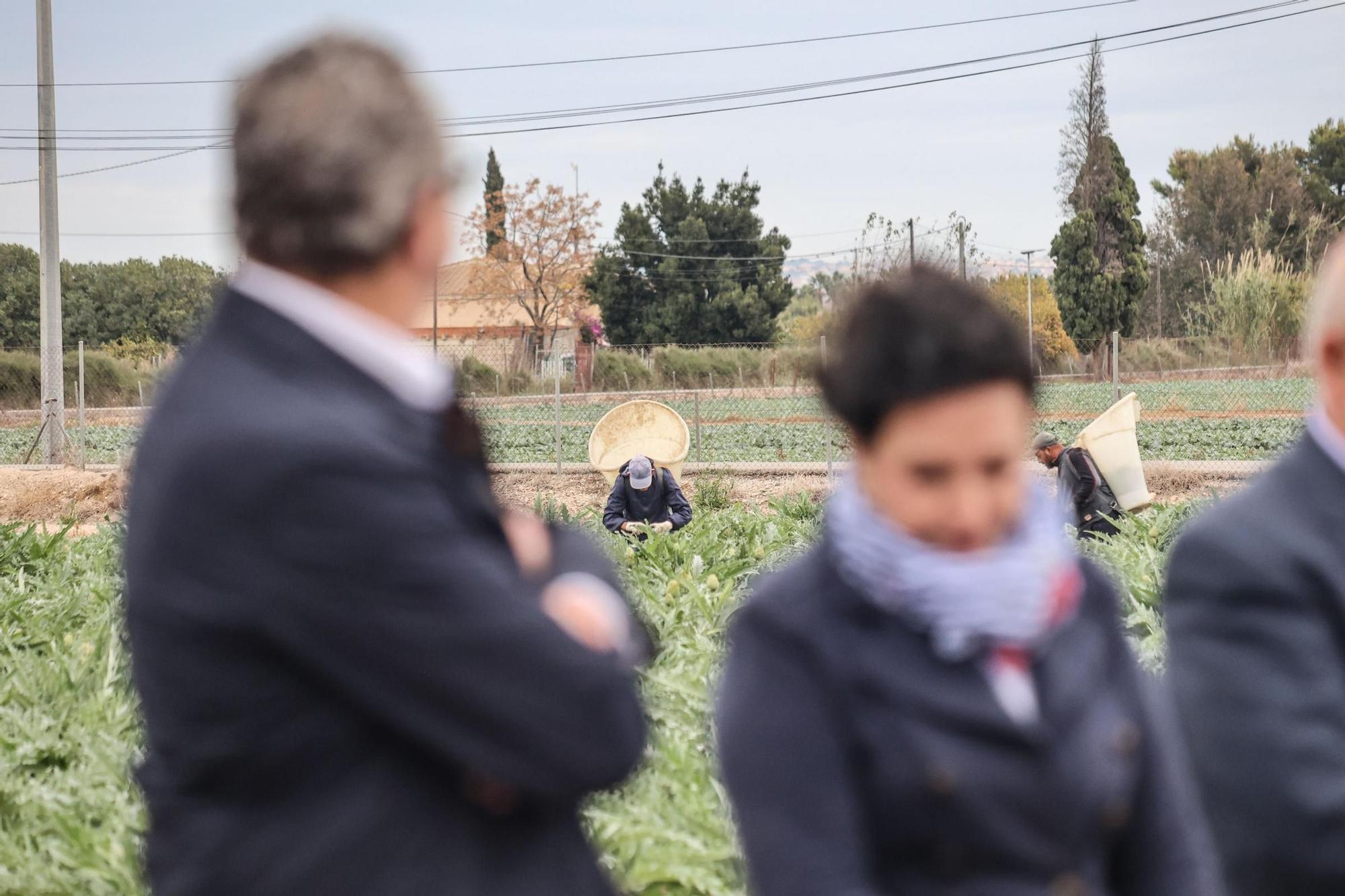 La chef Aurora Torres inaugura la temporada de la alcachofa