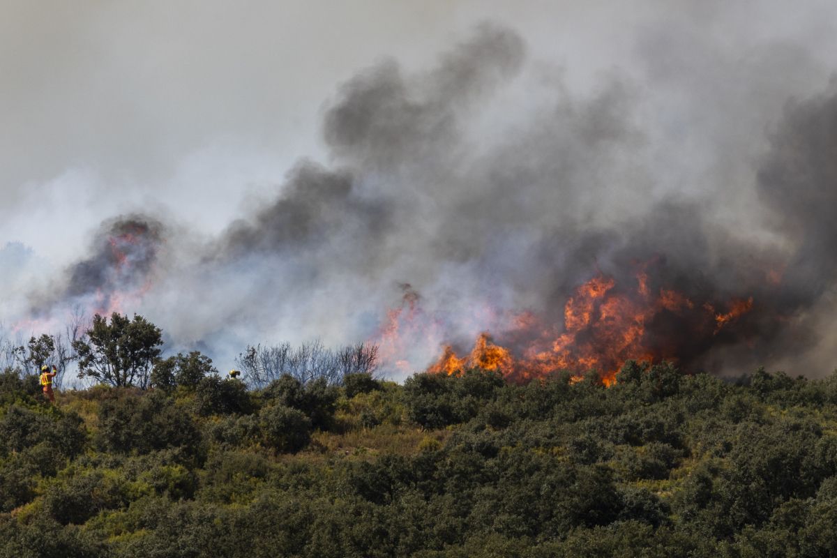 El incendio de Bejís, en imágenes