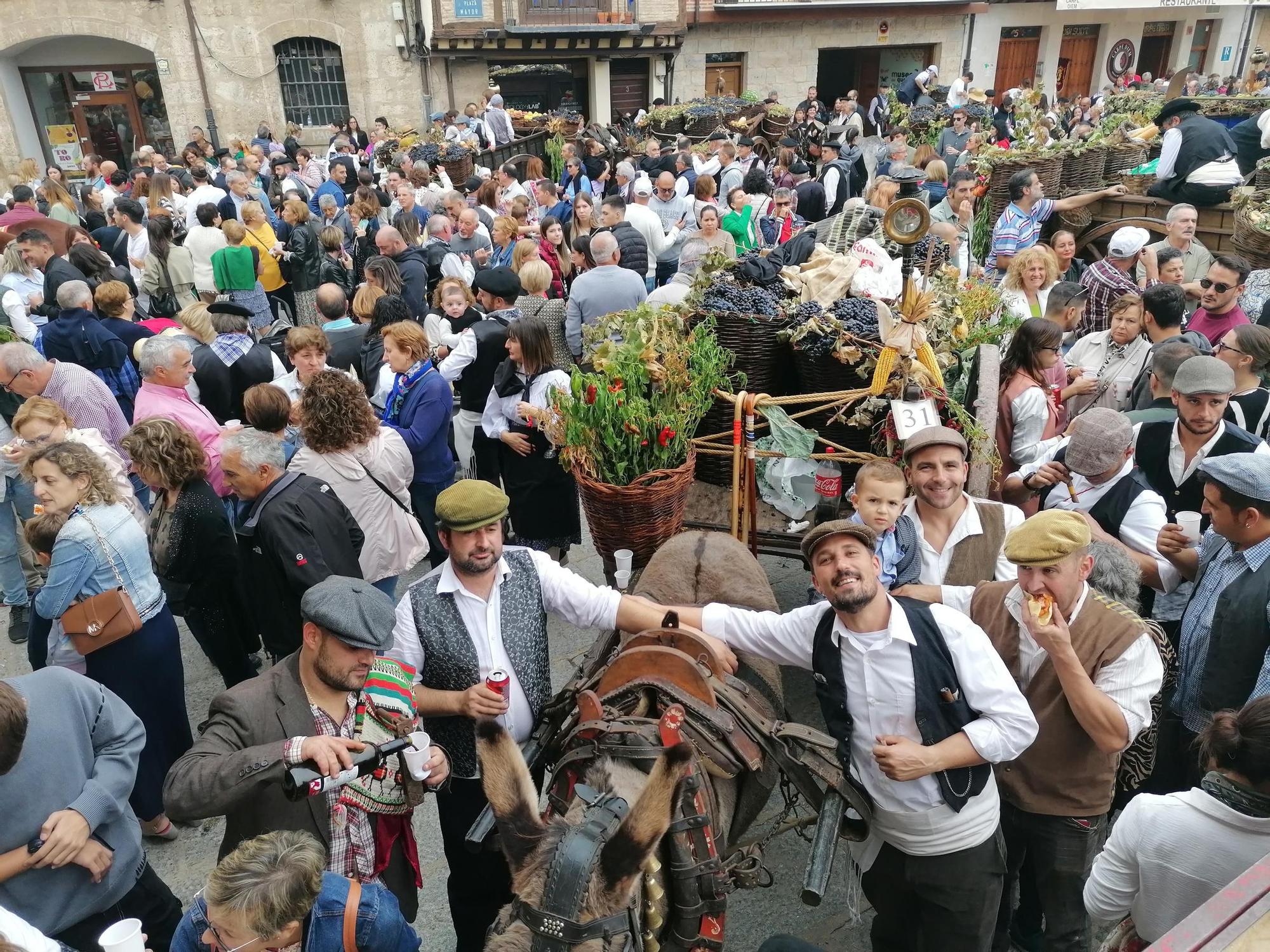 GALERÍA | Toro recrea la vendimia tradicional en el desfile de carros