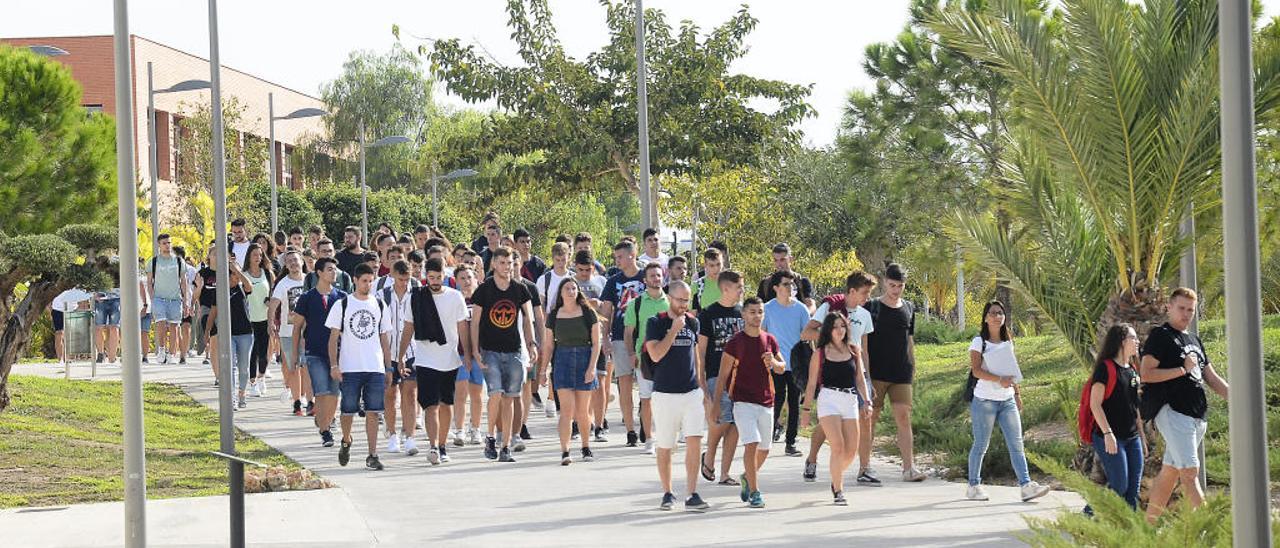 Un grupo de alumnos paseando por el campus de Elche de la Universidad Miguel Hernández durante este curso.