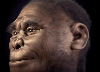 El antepasado humano Homo floresiensis podría estar vivo en Indonesia