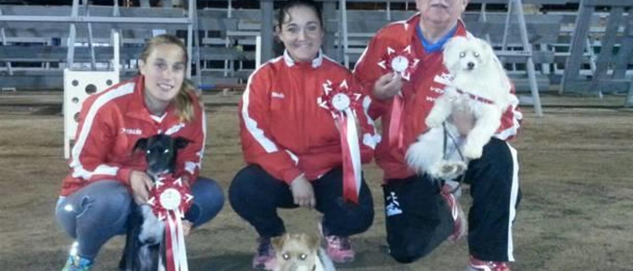 Ocho podios para el Agility Almussafes en   el cierre del estatal