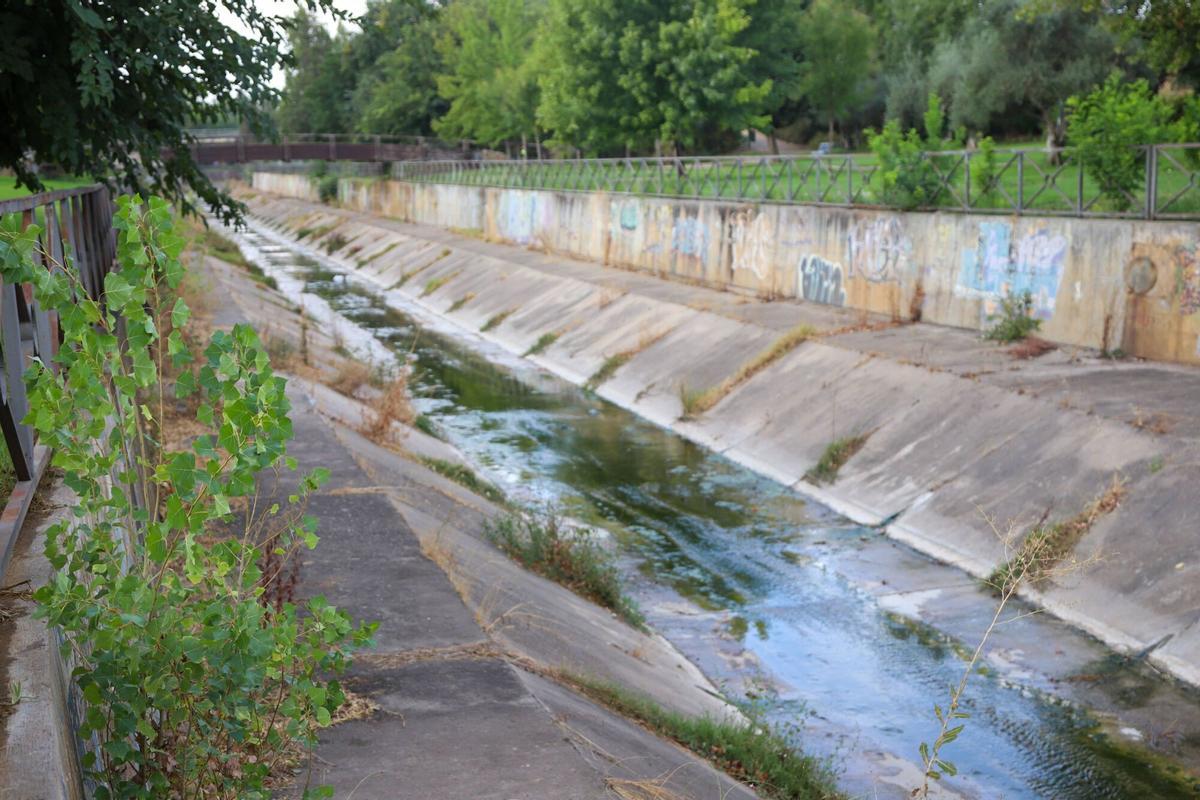 Detalle del arroyo Calamón tras los recientes trabajos de limpieza y desbroce.