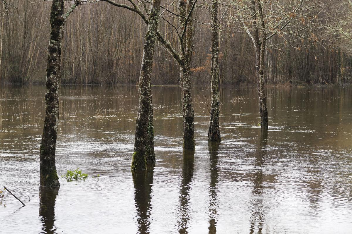 Imagen de un campo anegado en Friol, Lugo, tras el paso de las últimas borrascas.
