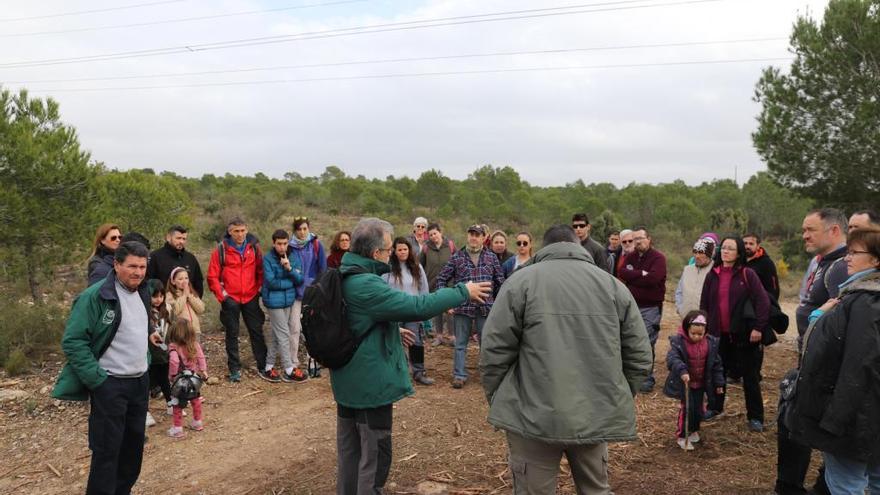 Decenas de voluntarios participan en un clareo en La Vallesa