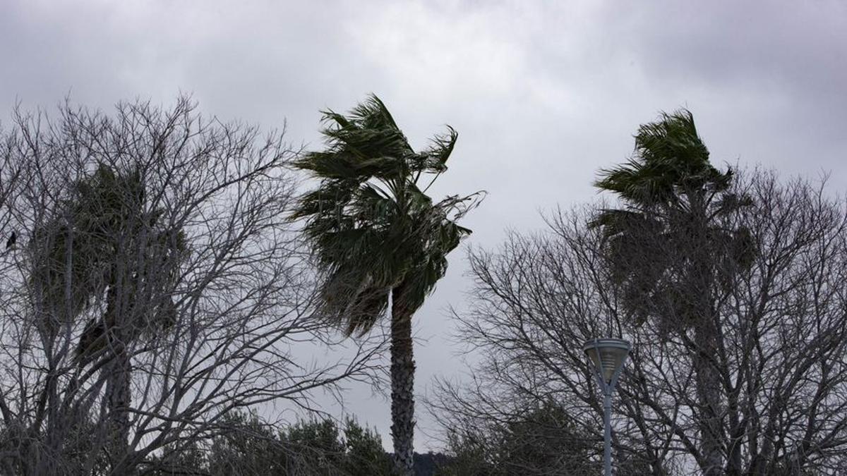 Imagen de archivo de viento en la Comunitat Valenciana