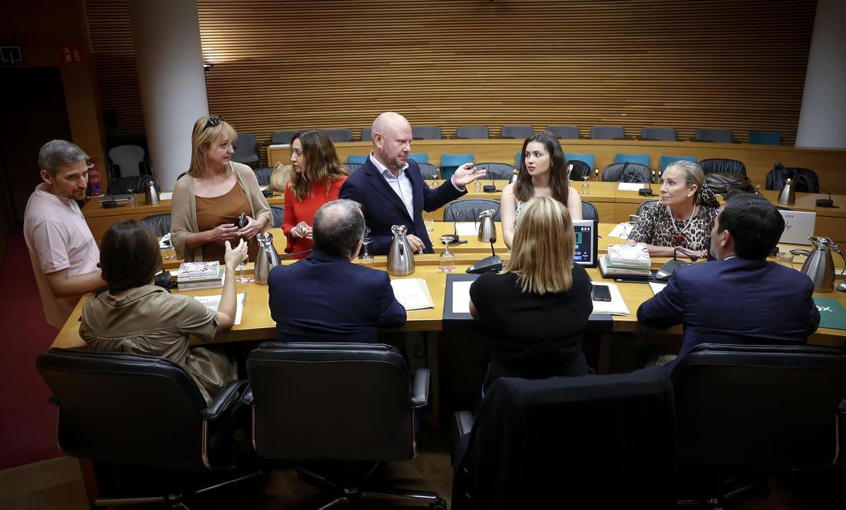 Los miembros de la comisión de investigación del sector público debaten en su segunda sesión, en julio de 2024.