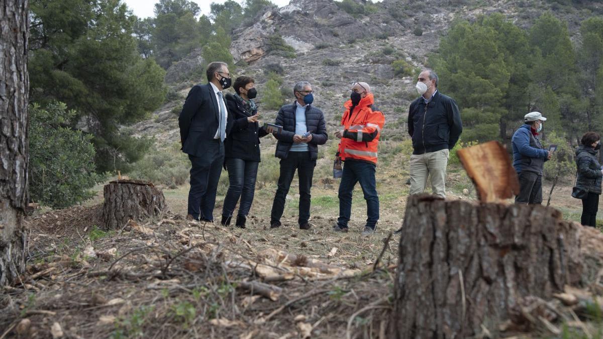 Trabajos para prevenir los incendios forestales en Castellón