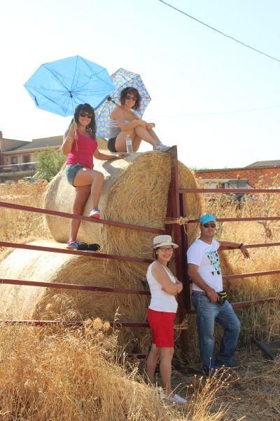 Fiestas en Zamora: Encierro en Argujillo