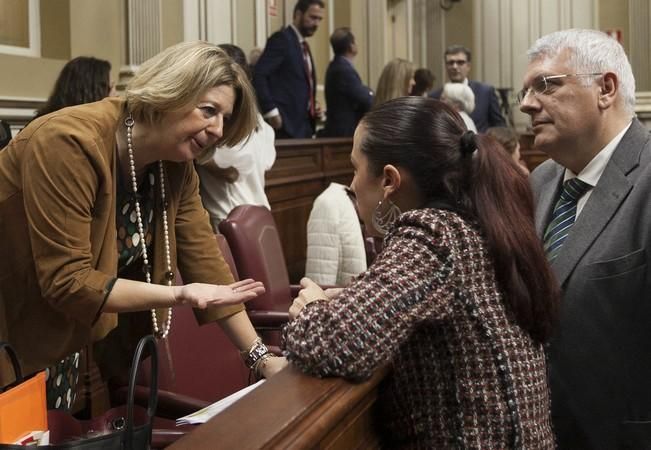 19/01/2017.CANARIAS.Pleno del Parlamento de Canarias..Fotos: Carsten W. Lauritsen