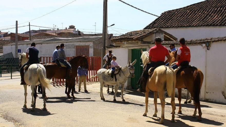 Feria del caballo en Fuentesaúco