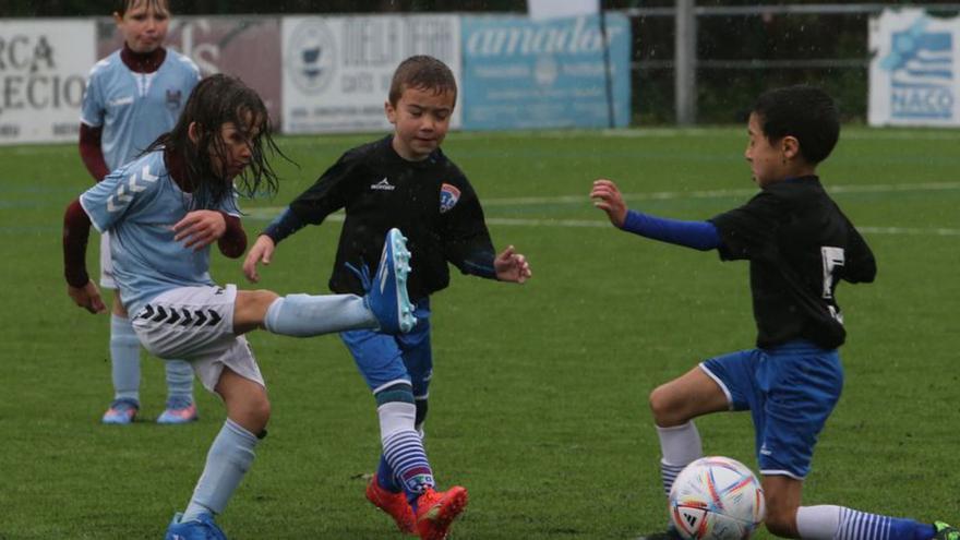 Una tonelada de alimentos en el Torneo del Moaña