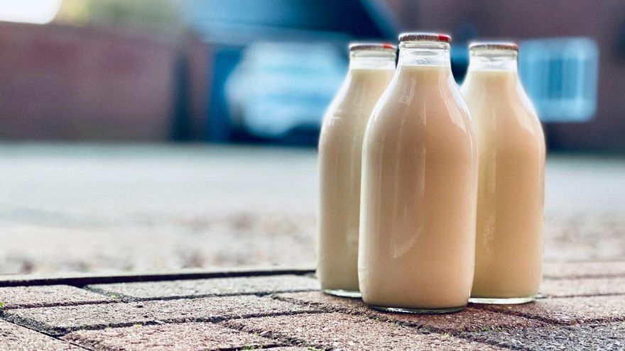 ¿Tú también has dejado la leche y ahora bebes avena? Cuidado: podrías estar sufriendo un déficit silencioso que afecta al 68% de la población