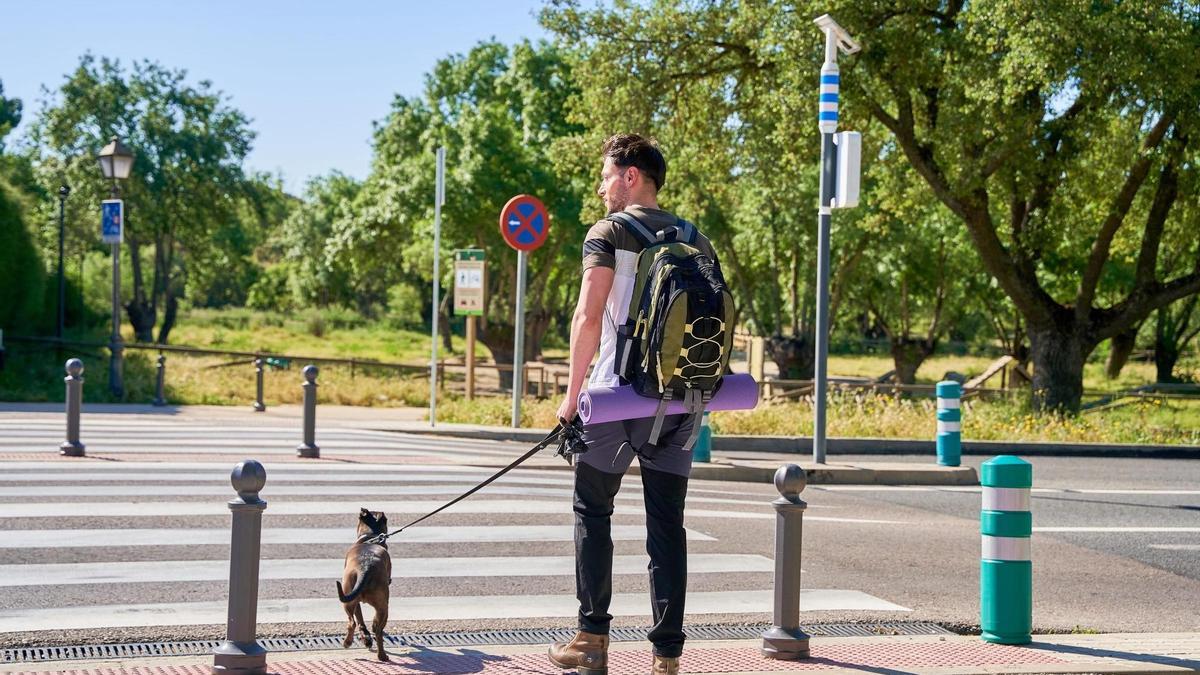 Un joven a punto de cruzar un paso de peatones con su perro.