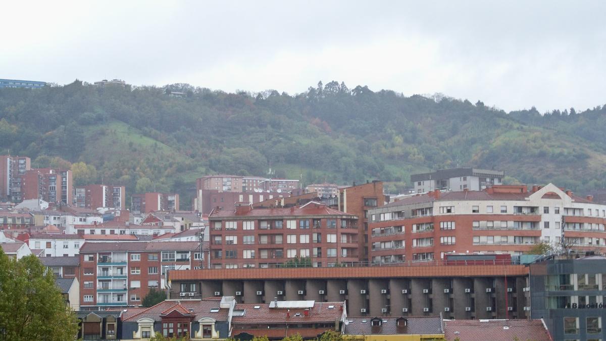 El canon será de 10 euros por cada metro cuadrado útil de la vivienda al año.