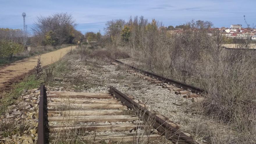 Restos de la vía del tren a la entrada de Benavente, junto a la vía verde, a la izquierda.