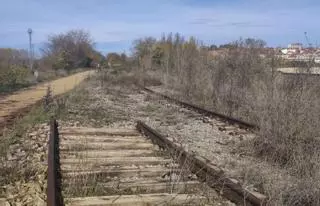 El Pleno de Benavente pedirá la reapertura del tren de la Plata y su conexión con el Corredor Atlántico