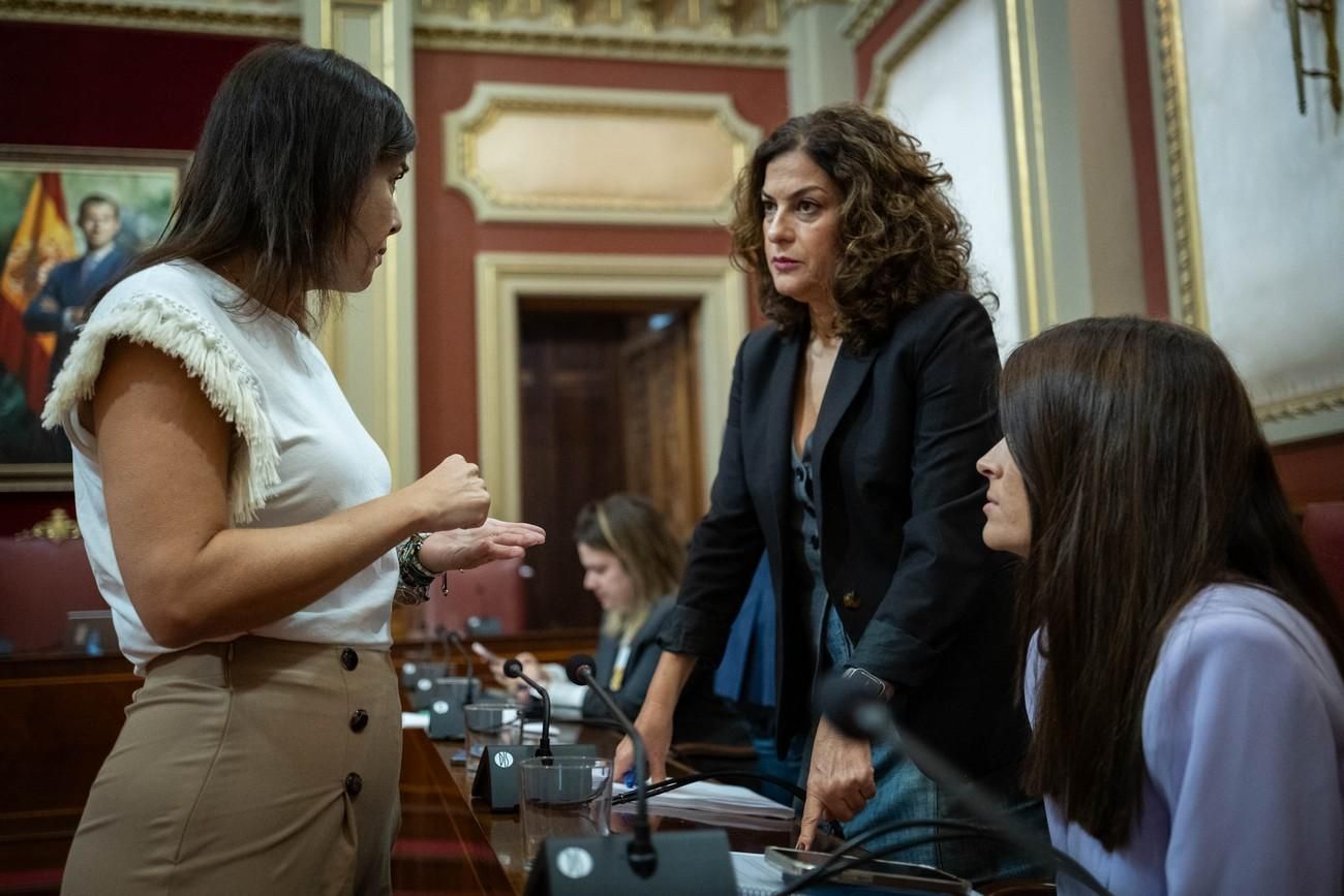 Pleno del Ayuntamiento de Santa Cruz de Tenerife del 29 de noviembre de 2024