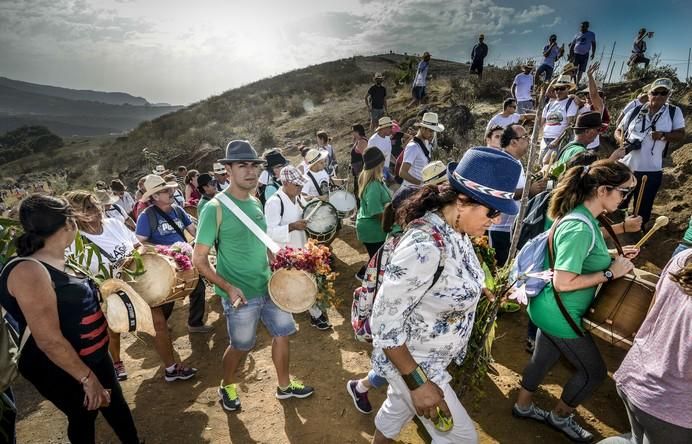 16/09/2017 STA. MARÍA DE GUÍA .Bajada 2017 de La Rama de Las Marías , desde Montaña Alta. FOTO: J.PÉREZ CURBELO