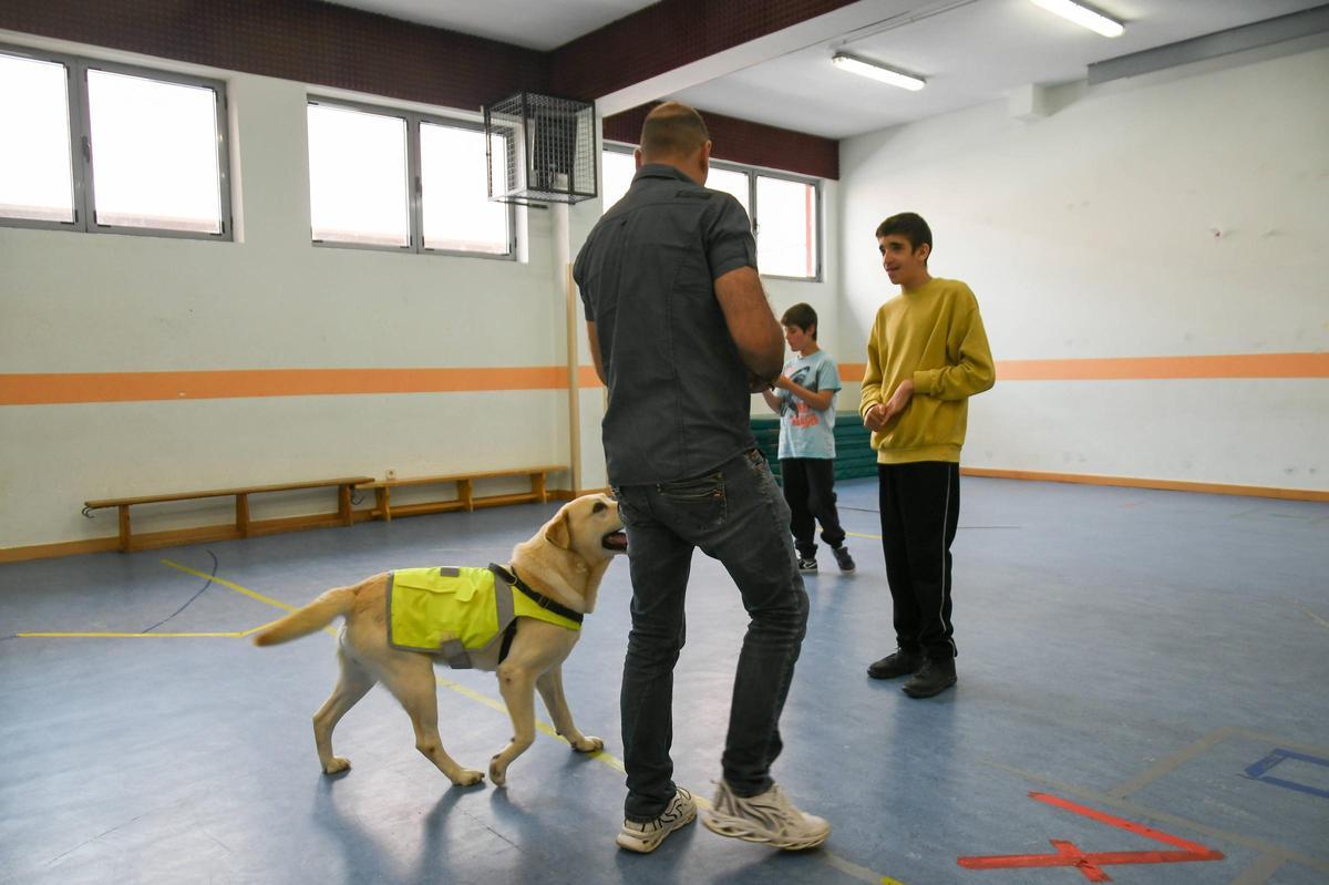 Terapia con perros en el colegio Virgen del Castillo de Zamora