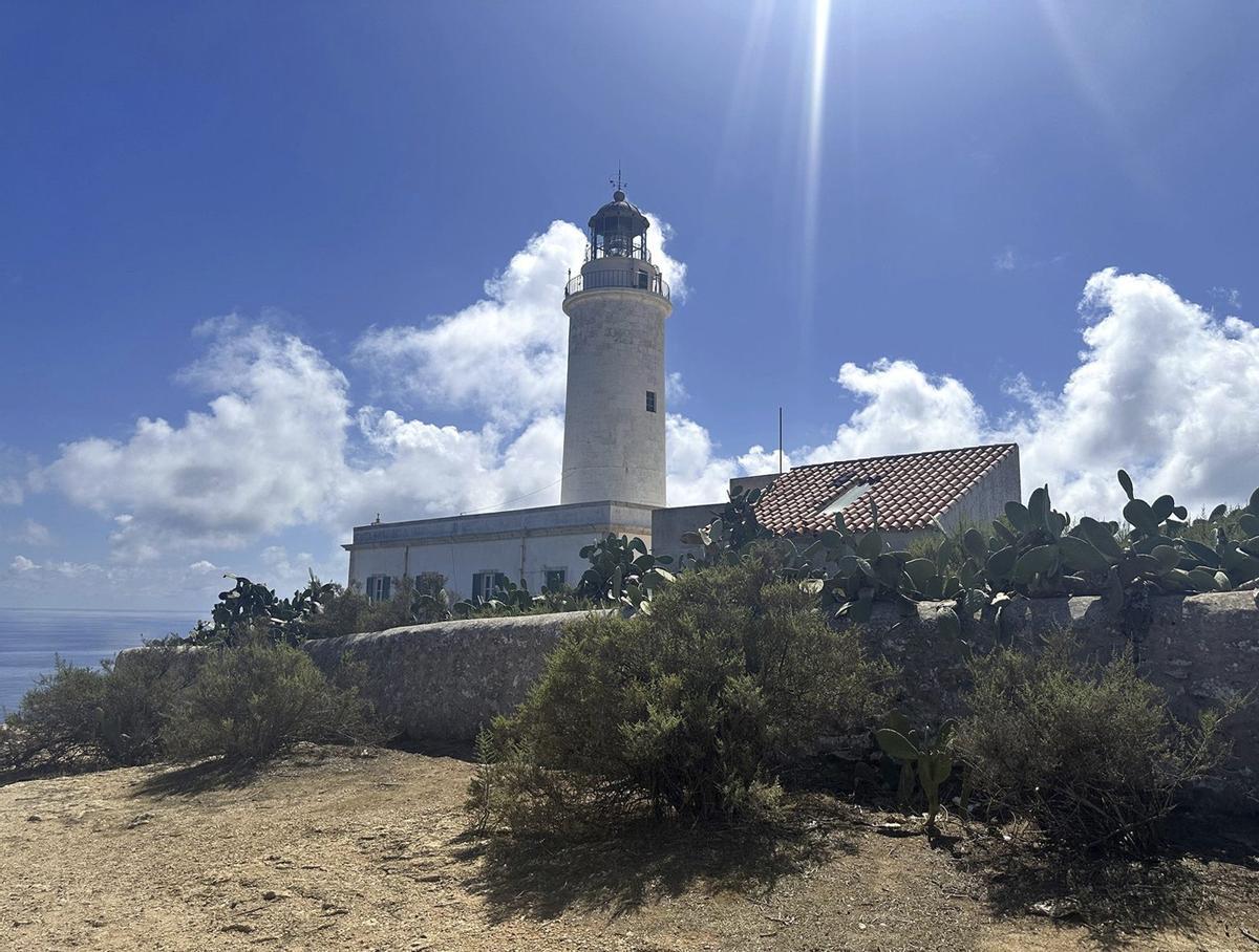 Chumberas junto al faro de la Mola. / X.P.