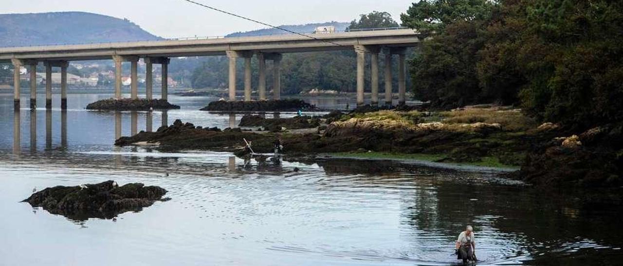 La ría de Arousa, a la altura del puerto de Taragoña (Rianxo). // Iñaki Abella