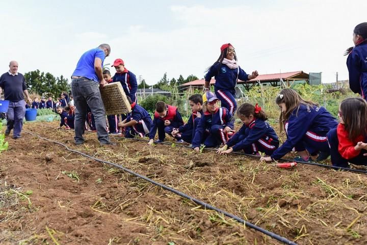 Visita escolar a la Granja Agricola del Cabildo