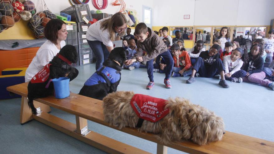 Una de les activitats amb gossos d&#039;educació assistida realitzada dimecres al Gegant del Rec