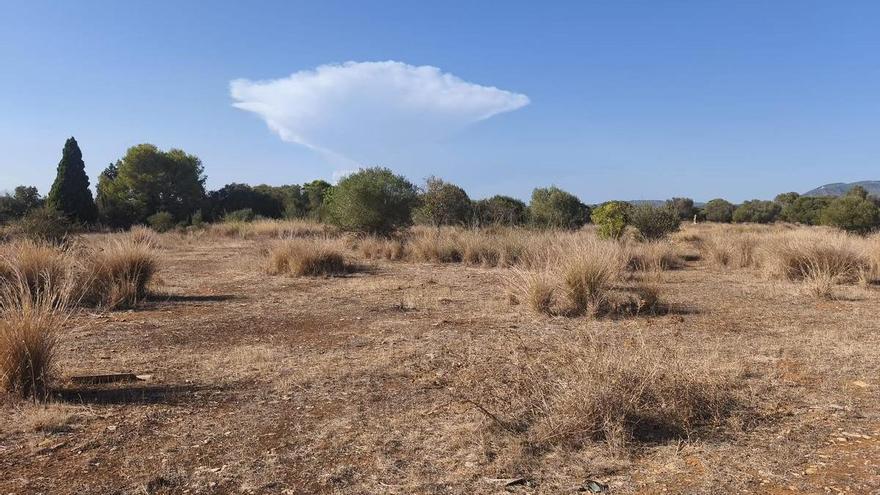 Sparano a due cacciatori in un poligono di caccia a Torreblanca: "Potrebbe essere stata una tragedia"