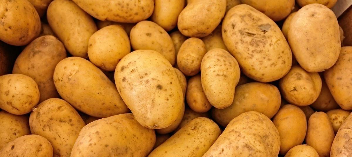 La rebelión de las patatas: así se encontraron una cocina después de tres meses fuera de casa