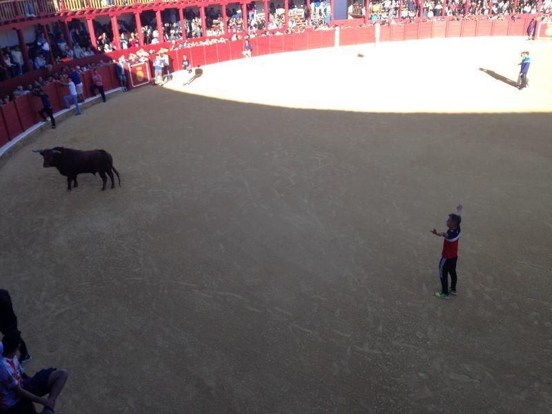 Toro de cajón y encierro urbano en Toro