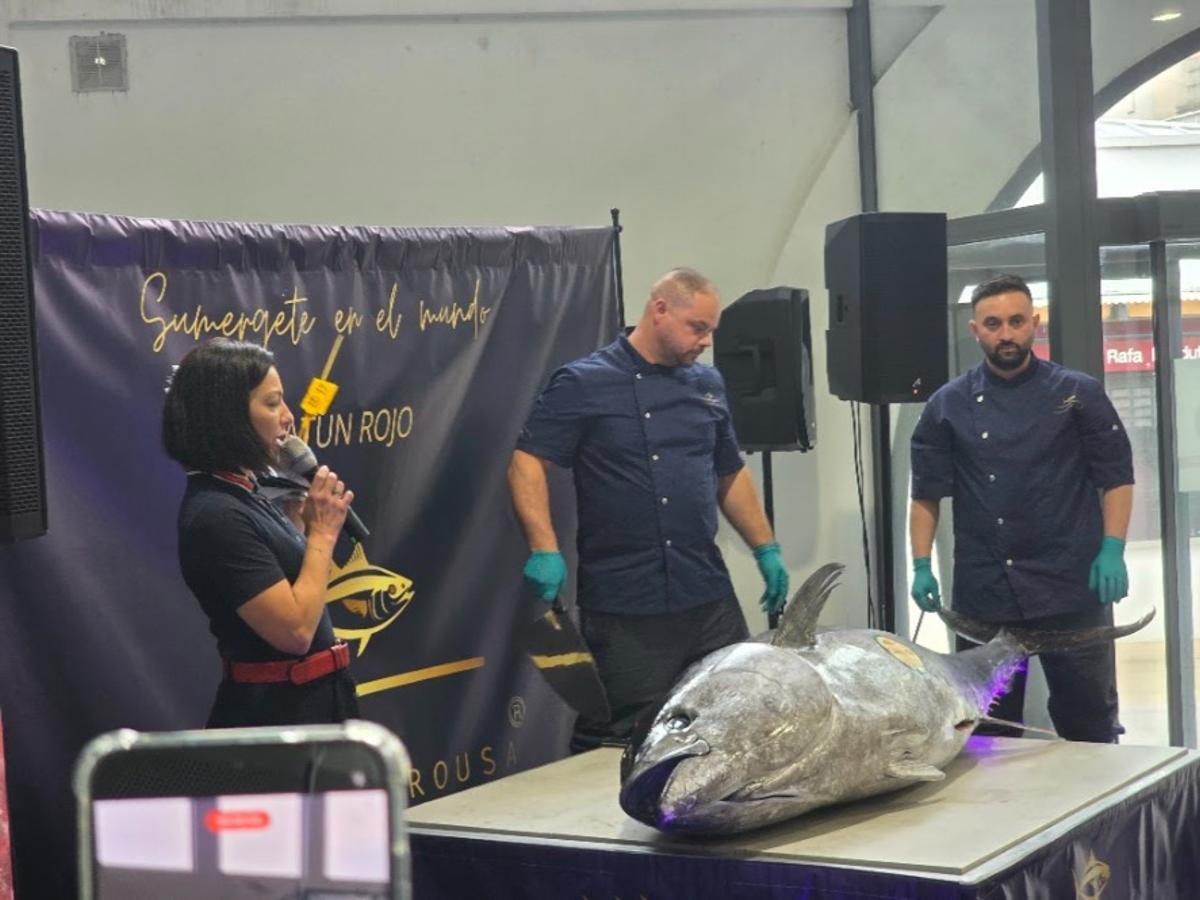 Así se disfrutó del ronqueo de un atún rojo de 200 kilos pescado en las almadrabas gaditanas, organizado por Novomar Arousa y el restaurante La Baldosa, en Vilagarcía.
