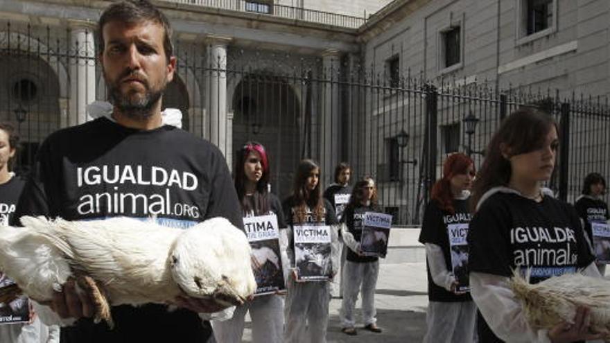 Miembros del colectivo Igualdad Animal muestran cadáveres de patos