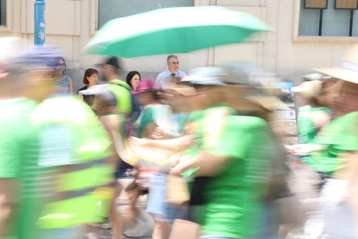 Profesores inundan las calles de Alicante: manifestación de la marea verde este martes