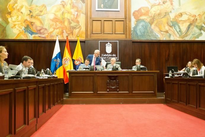 Pleno del Cabildo de Gran Canaria (30/06/2017)