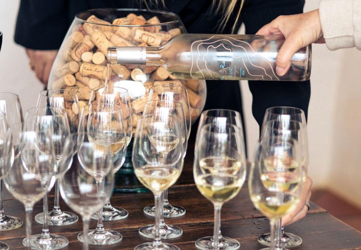 Una visita permite conocer de cerca las características y las propiedades de cada vino. | CAN RICH