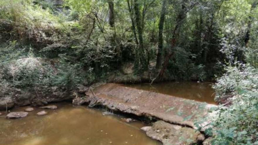 El projecte també preveu espais de guaita i de recerca