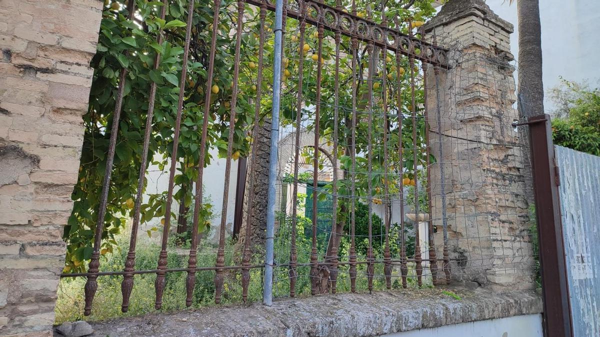 Estado actual que presentan las antiguas Bodegas Víbora.