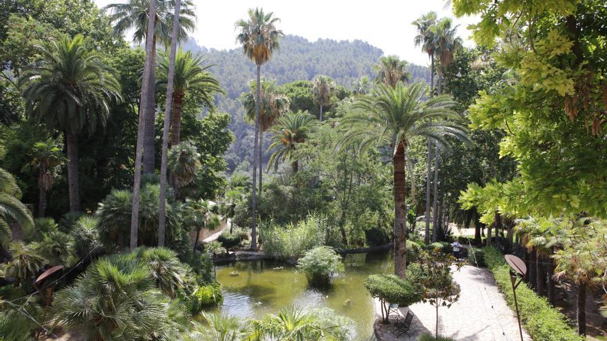 Auf den Spuren des Wassers: Besuch in den Gärten Jardines de Alfabia auf Mallorca