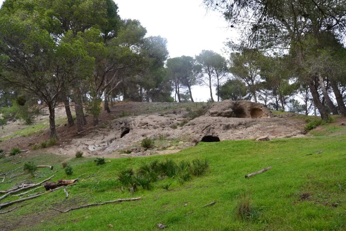 La Necrópolis de Las Aguilillas, en el término municipal de Campillos, un entorno prehistórico perfecto para visitar en familia