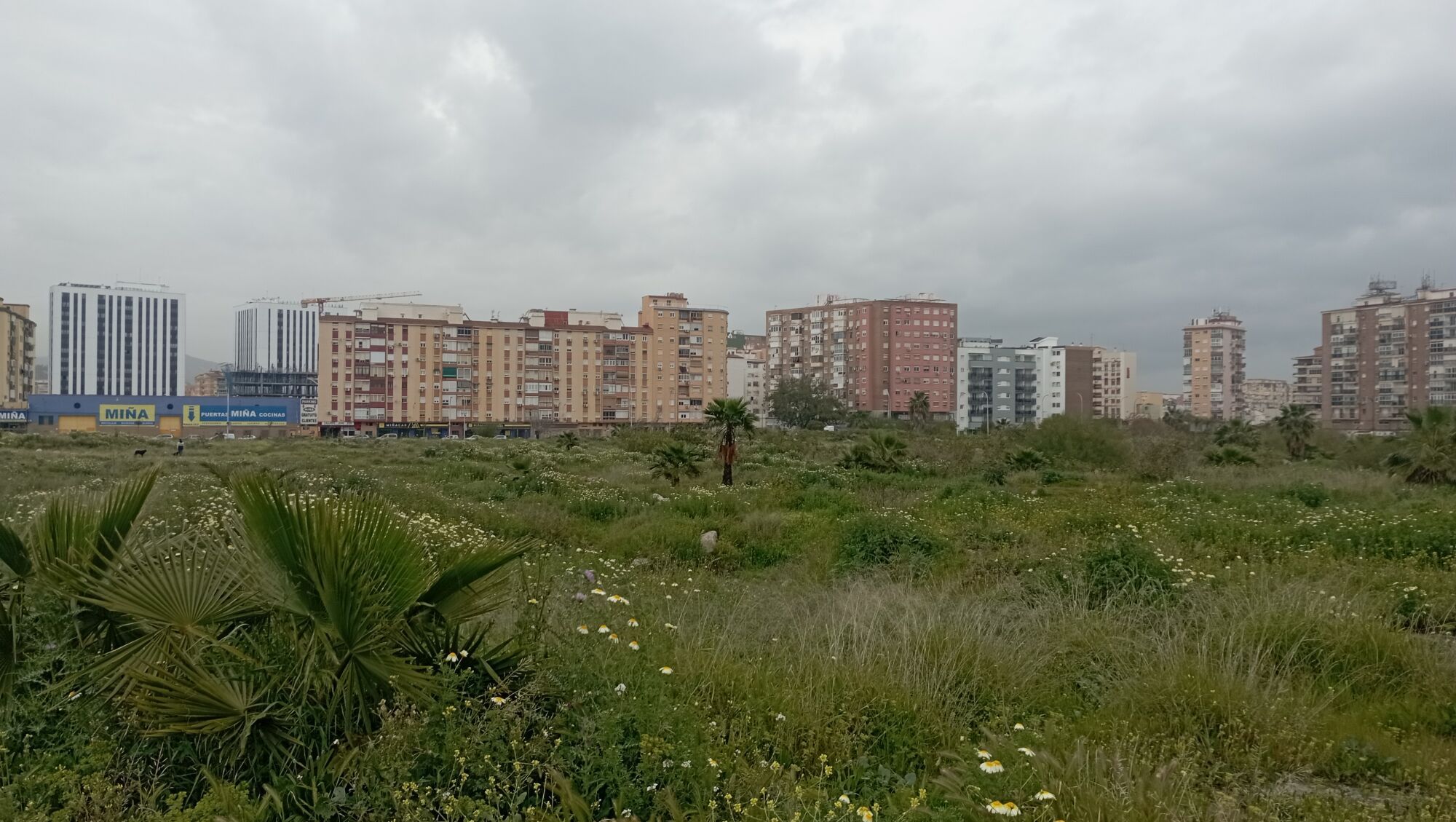 Terrenos de Repsol, a las puertas de la primavera, con el solar ya en flor
