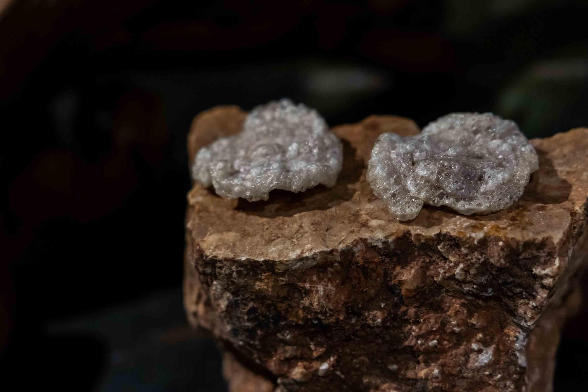 Espacio Montoro muestra su evolución en la alta cocina con producto alicantino