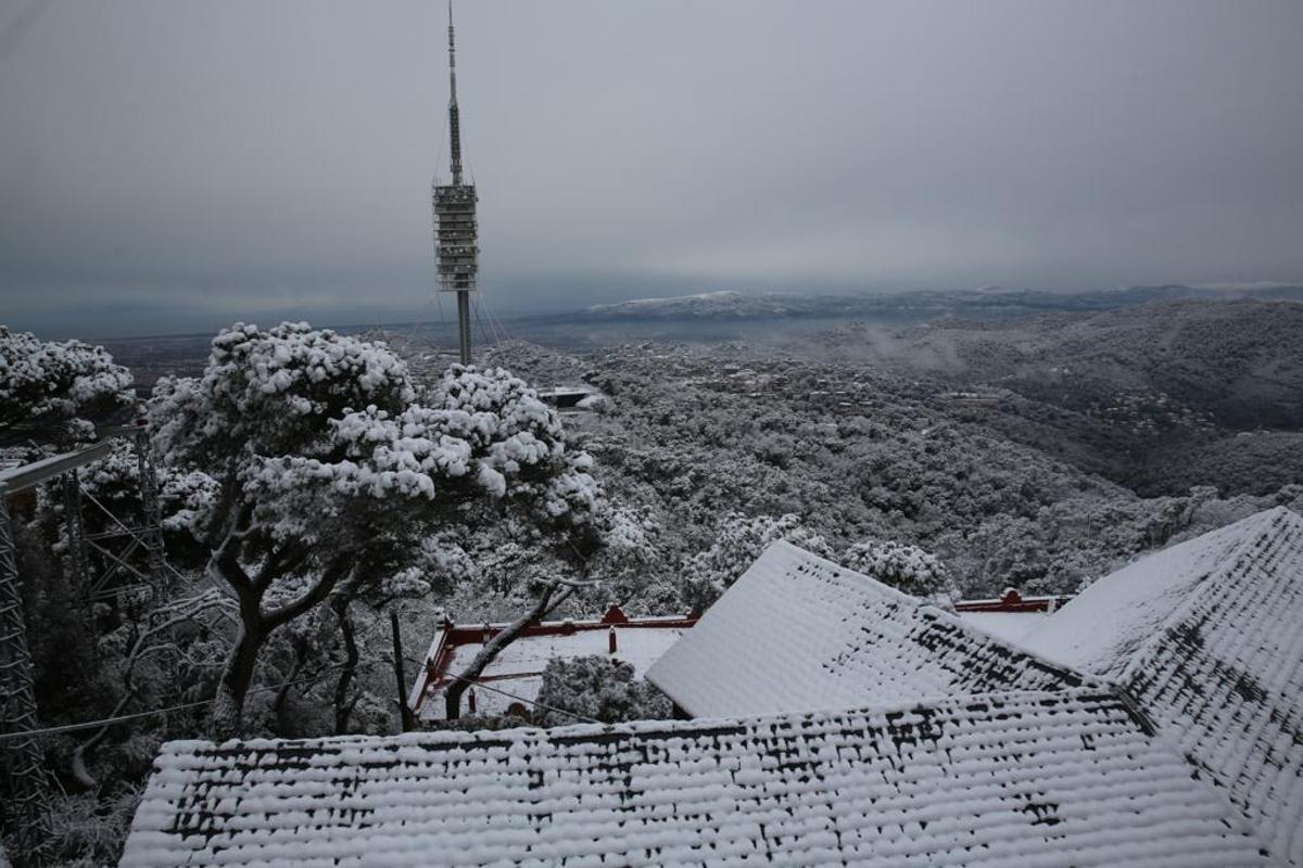 La nieve llega a Barcelona: Collserola, cubierta de blanco